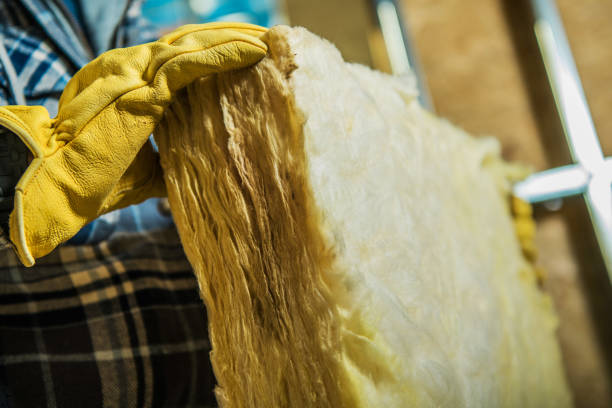 Best Insulation for New Construction  in Waverly, IL
