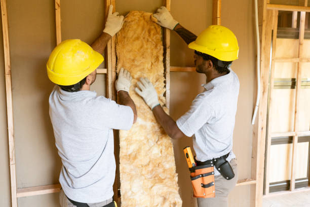 Insulation for New Construction in Waverly, IL