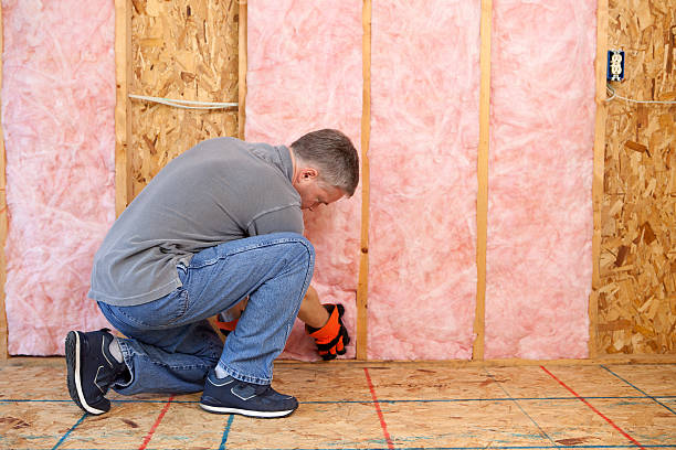 Best Insulation Repair Services  in Waverly, IL