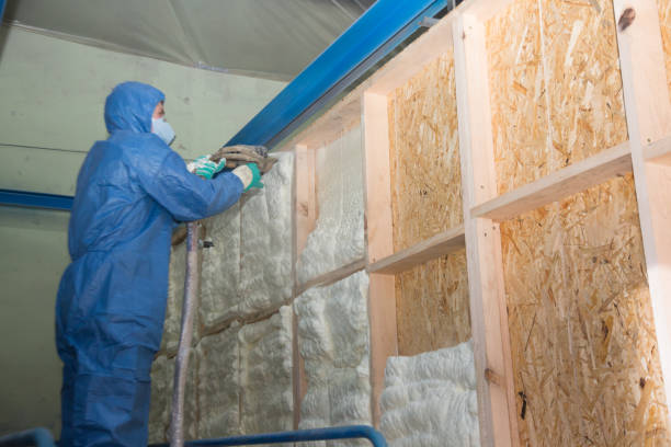 Best Spray Foam Insulation  in Waverly, IL