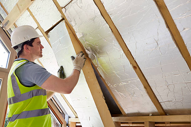 Best Attic Insulation Installation  in Waverly, IL
